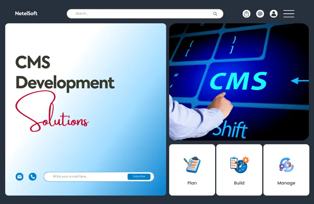 CMS Development Solution - NetelSoft